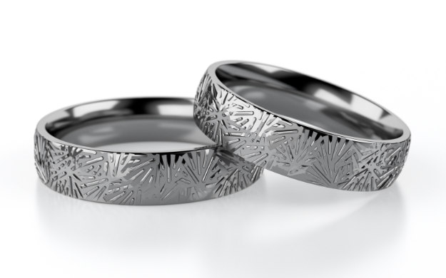 Bild von Tantal Trauringe_ta04